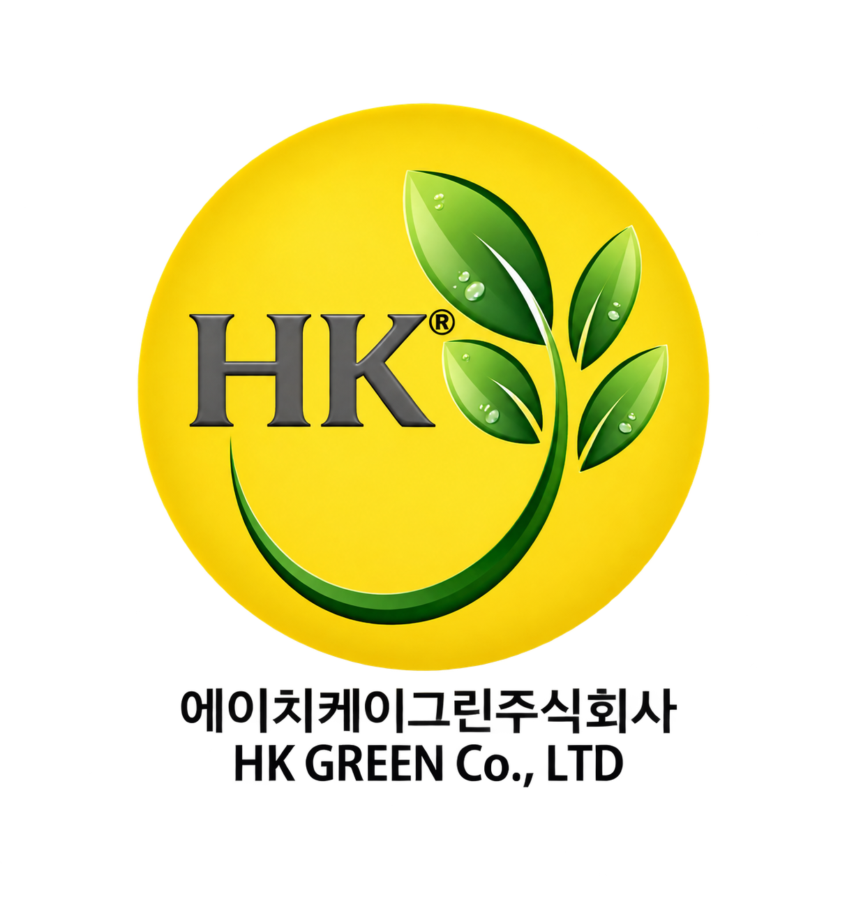 韩国爱奇凯 HK GREEN Logo